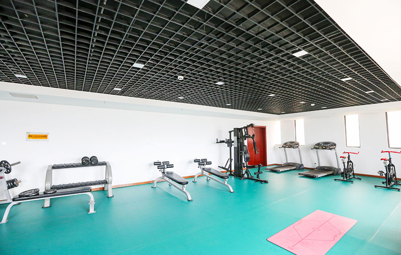 单位健身器材